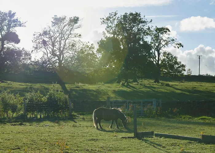 Hébergement de vacances Whernside Settle